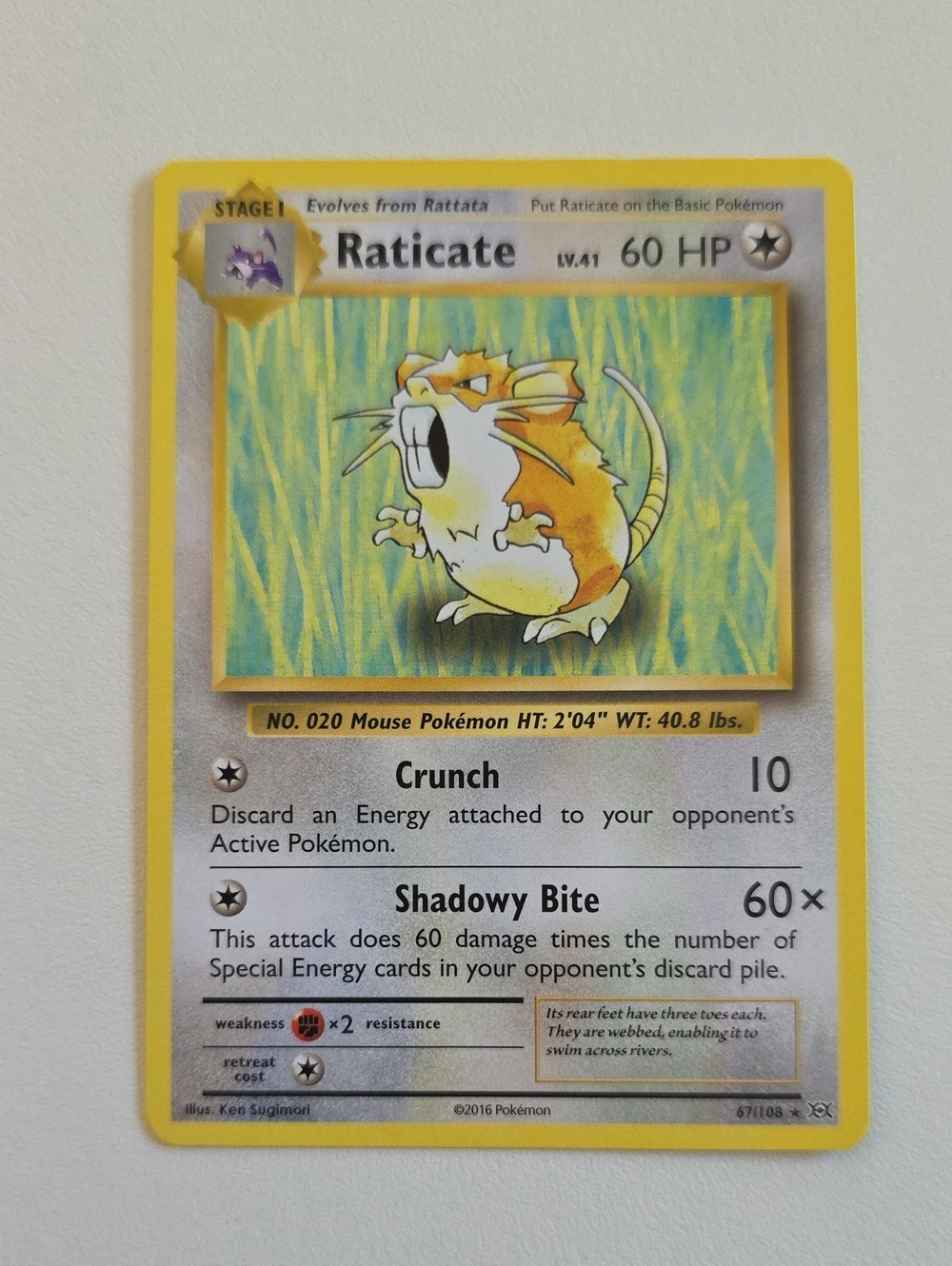 Pokemon Rattata And Raticate Card - Picture 3 of 5